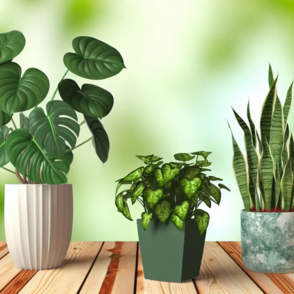 Populaire kamerplanten gestyled in een modern interieur